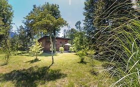Cabañas Pucon Location